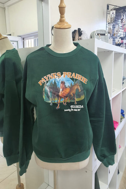 The 'Florida' Print Graphic Pullover Sweatshirt
